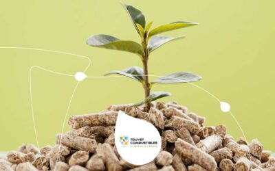 ENplus A1 et DINplus, mieux connaître les certifications des granulés de bois