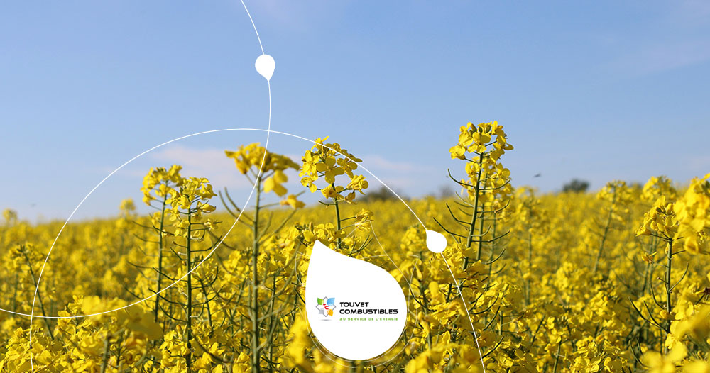 biofioul règlementation