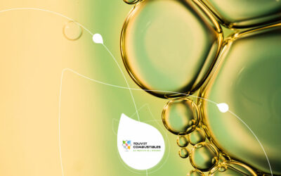 Biofioul F7 et Biofioul F30 : quelles différences et quels impacts sur votre chaudière ?