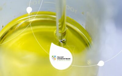 Quels sont les avantages environnementaux du Biofioul par rapport au fioul traditionnel ?