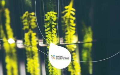 Biofioul F7 et F30 : comprendre cette nouvelle génération de fioul plus responsable