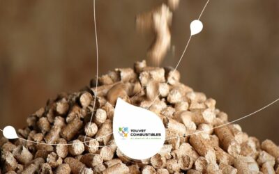 Connaître les coûts associés à l’installation et à l’entretien d’une chaudière à granulés de bois