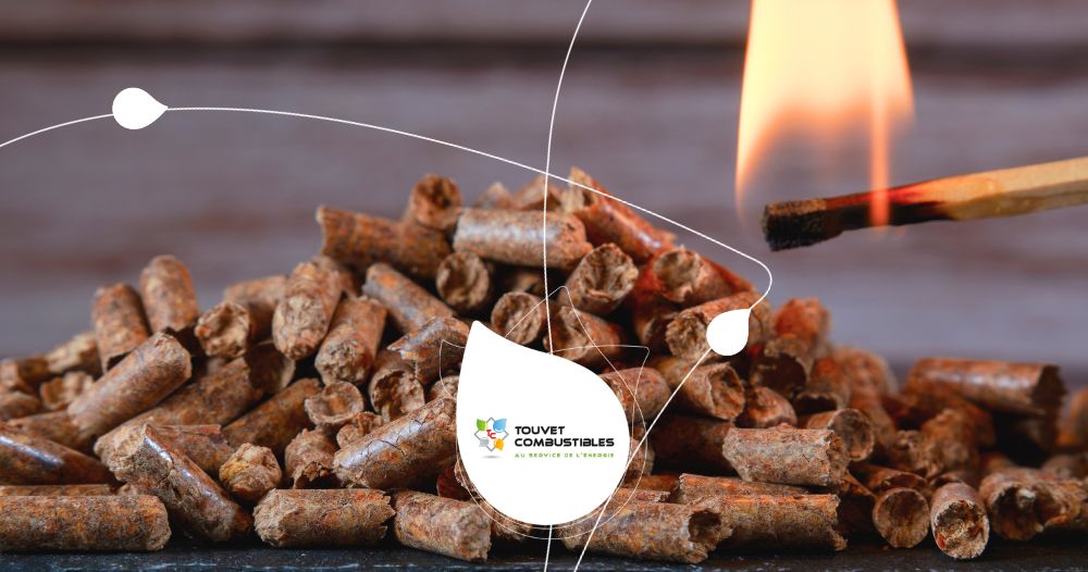 fonctionnement-chaudiere-granules Comment fonctionne une chaudière à granulés de bois ?