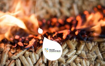 Chaudière à granulés : quelle puissance choisir pour sa maison ?