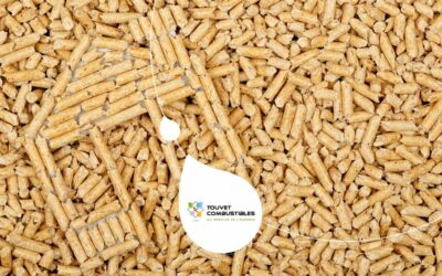 Chauffage aux granulés et bilan carbone : pourquoi c’est une solution écologique ?
