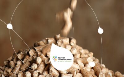 Granulés de bois premium vs standard : quelles différences en termes de performance ?