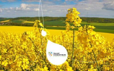 Le biofioul chauffe-t-il aussi bien que le fioul classique ?