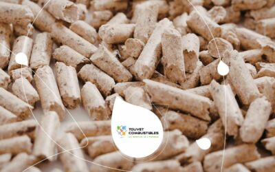 Granulés de bois en vrac : pourquoi les choisir plutôt qu’en sacs ?