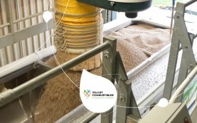 Granulés de bois en vrac : le guide complet de l&rsquo;achat à la livraison